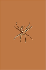 Spider 01
